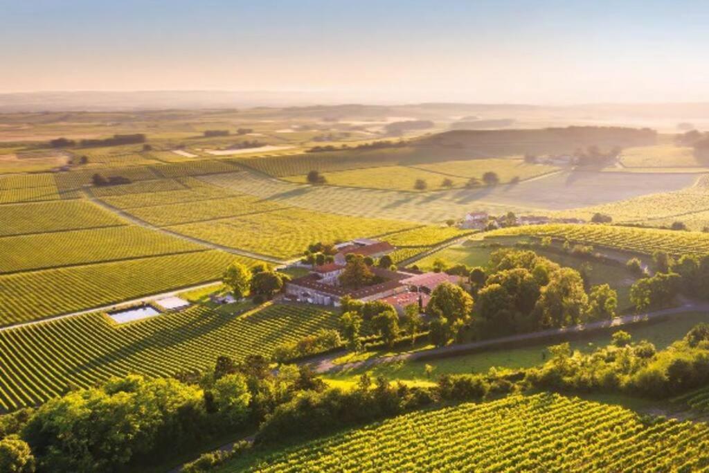 Belle Maison De Ville l'Isle-d'Espagnac Dış mekan fotoğraf